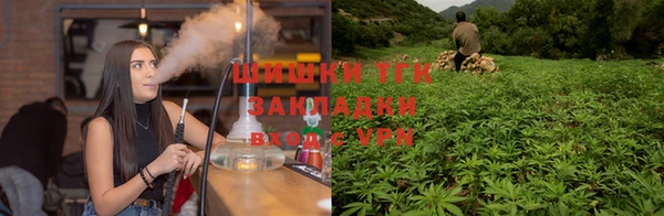 спиды Лабытнанги