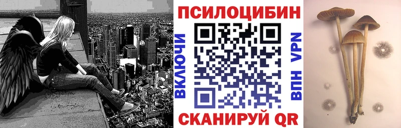 где купить наркоту  Томари  Псилоцибиновые грибы Magic Shrooms 